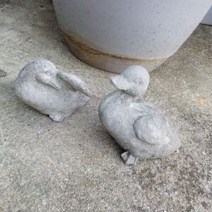 Garden baby duck pair adorable 😍 of  stone resin approx 6" long each